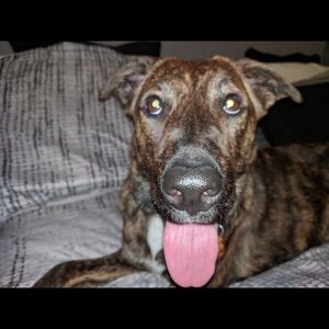 Meet your Posher, Lori